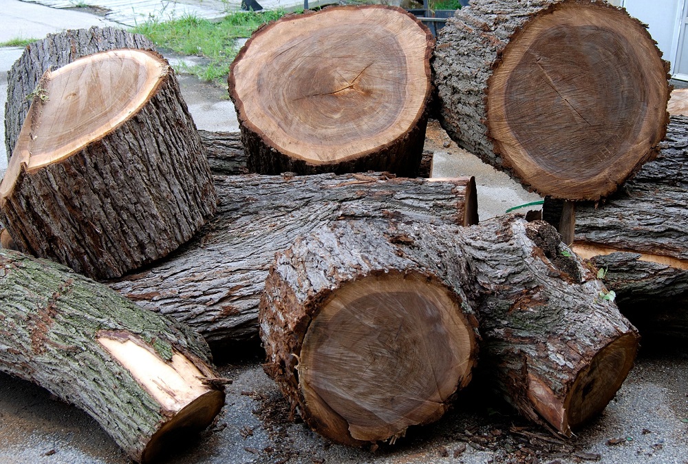 gỗ óc chó tự nhiên