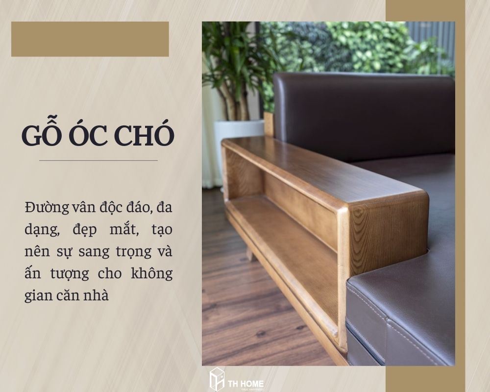 Vân gỗ đa dạng, độc đáo