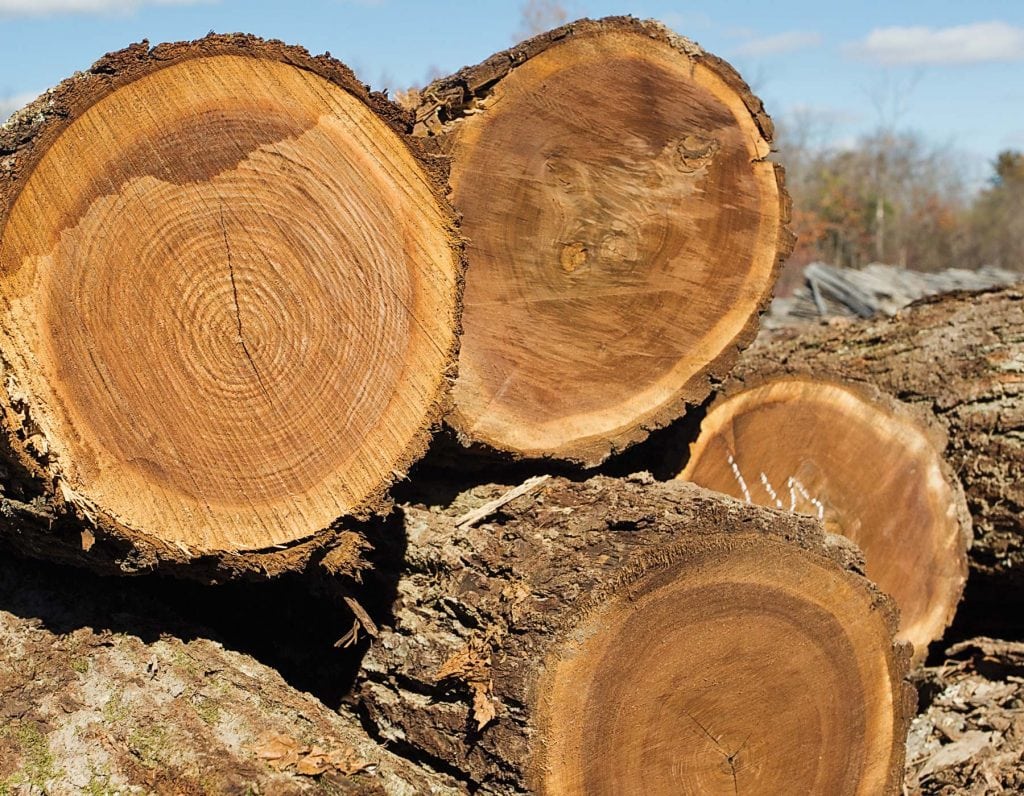 Sofa gỗ óc chó giá bao nhiêu liên quan tới chất liệu gỗ sử dụng